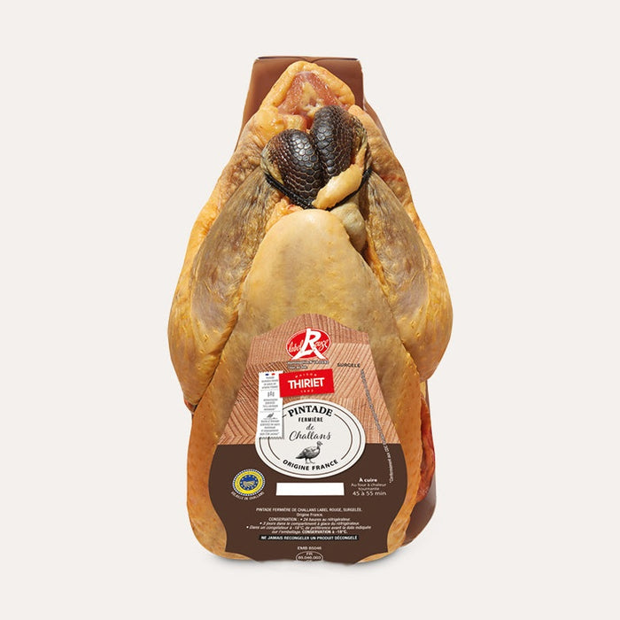 Pulë e rritur në fermë