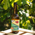 Kombucha BIO me fik