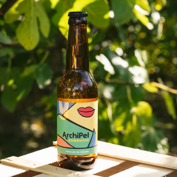 Kombucha BIO me fik