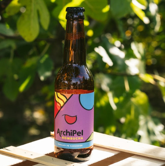 Kombucha me gjethe cassis