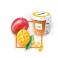Sorbeto me mango