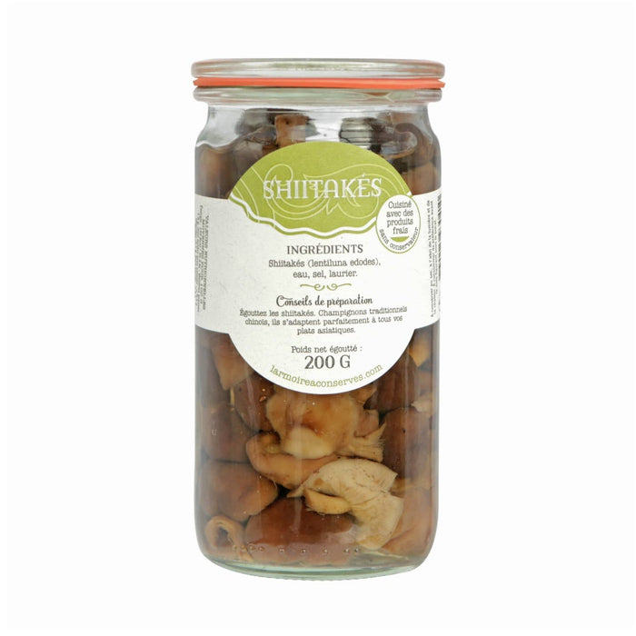 Kërpudha Shiitake
