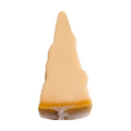 Grana Padano PDO Riserva 250g